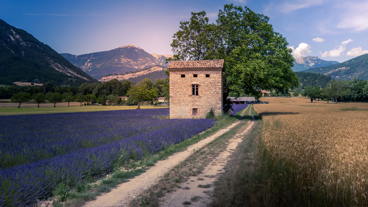 Paysage de la Drôme Provençale