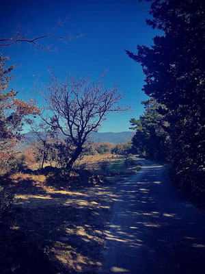 Spirit et Sens Instagram