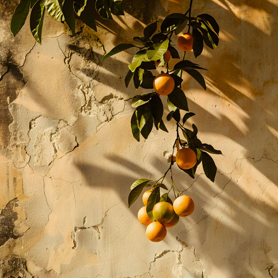 Univers du...</div>
            
      <div class=