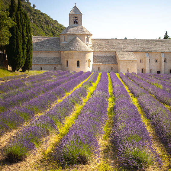 univers du...</div>
            
      <div class=