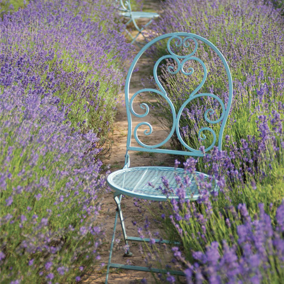 univers du...</div>
            
      <div class=